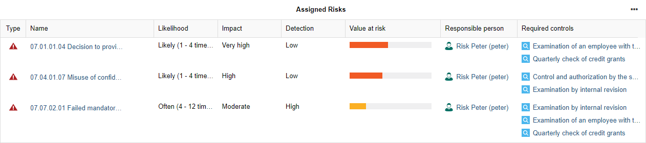  Insights Dashboard — Assigned Risks